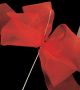 Red Bows with Wire Box of 48