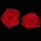 Medium Red Sheer Roses Box of 48 