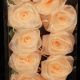 Wired Rose Garland Set of Six 9 Feet each Peach