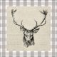 Checked Stag Head Brown Design