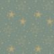 Night Sky Gold/Sage Design Napkin Lunch