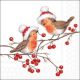Christmas Robins White Design