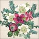 Azalea And Helleborus Cream Design