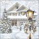 Christmas House Napkin Lunch