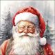 Happy Santa Napkin Lunch