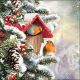 House With Robins Design