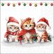 Funny Cute Kittens Design