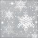 Snowflakes Silver Napkin Lunch