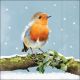 Robin On Branch Design