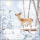Meeting In Winterworld Design