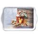 Robin By Lantern Tray Small
