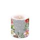 Helleborus Orientalis Grey Candle Small